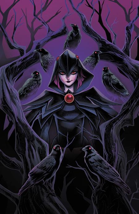 Dc's Quoth the Raven...whatever #1