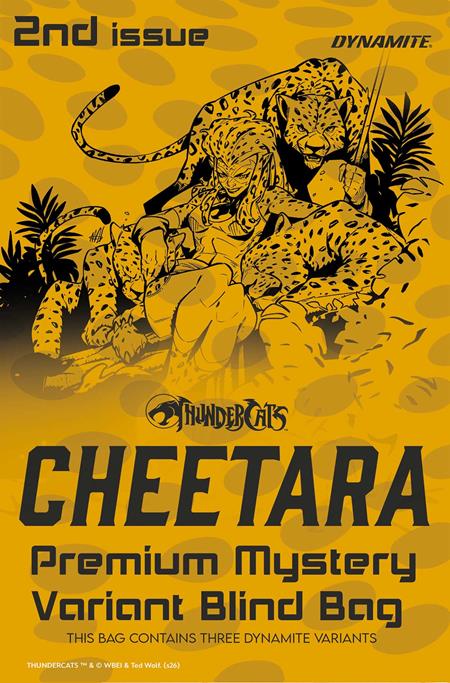 Thundercats: Cheetara #2