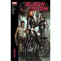 Black Widow Modern Era Epic Collection Widowmaker Marvel Trad Paperback PREORDER