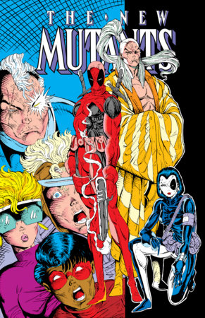 New Mutants Omnibus Vol. 4 Rob Liefeld Deadpool
