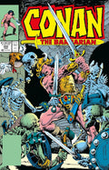 Conan The Barbarian: The Original Comics Omnibus Vol.8 (CONAN THE BARBARIAN OMNIBUS) cover image