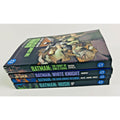 DC Comics Compact Bundle - Batman Bundle Graphic Novel Set 4 Book Lot NEW